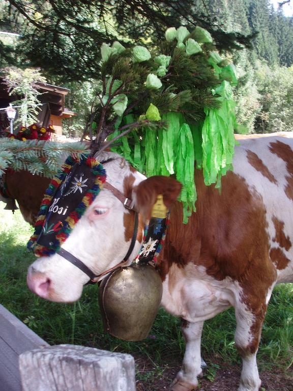 Ferienwohnung Wohlfartstaetter Auffach Kültér fotó